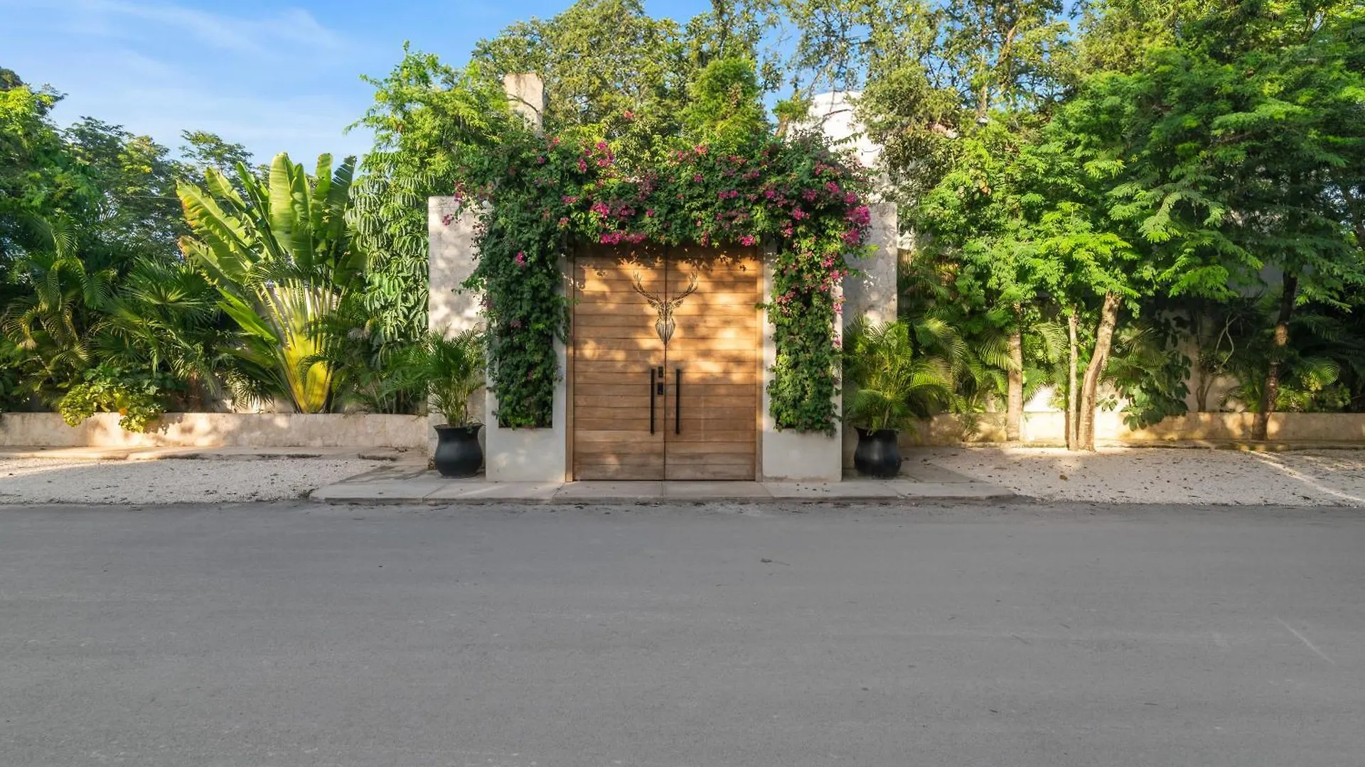 El Rey Loro - Lux 4 Bed Villa @Bluedeertulum 0*, Tulum Mexico
